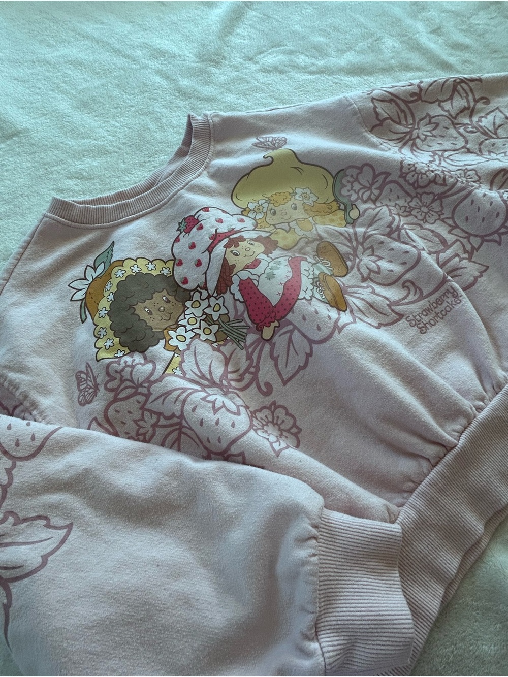 Strawberry Shortcake Girls’ Sweatshirt with Sweet-Themed Friends & Floral Detail